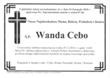 Cebo Wanda