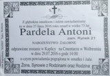 Pardela Antoni