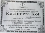 Kot Kazimiera