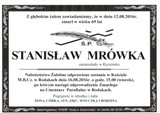 Mrówka Stanisław