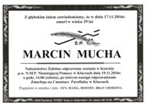 Mucha Marcin