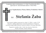 Żaba Stefania