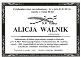 Walnik Alicja