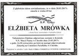 Mrówka Elżbieta