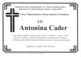 Cader Antonina