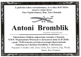 Antoni Bromblik