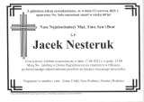 Jacek Nesteruk