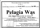 Pelagia Wąs