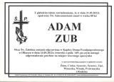 Adam Zub
