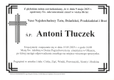 Antoni Tłuczek