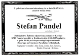 Stefan Pandel